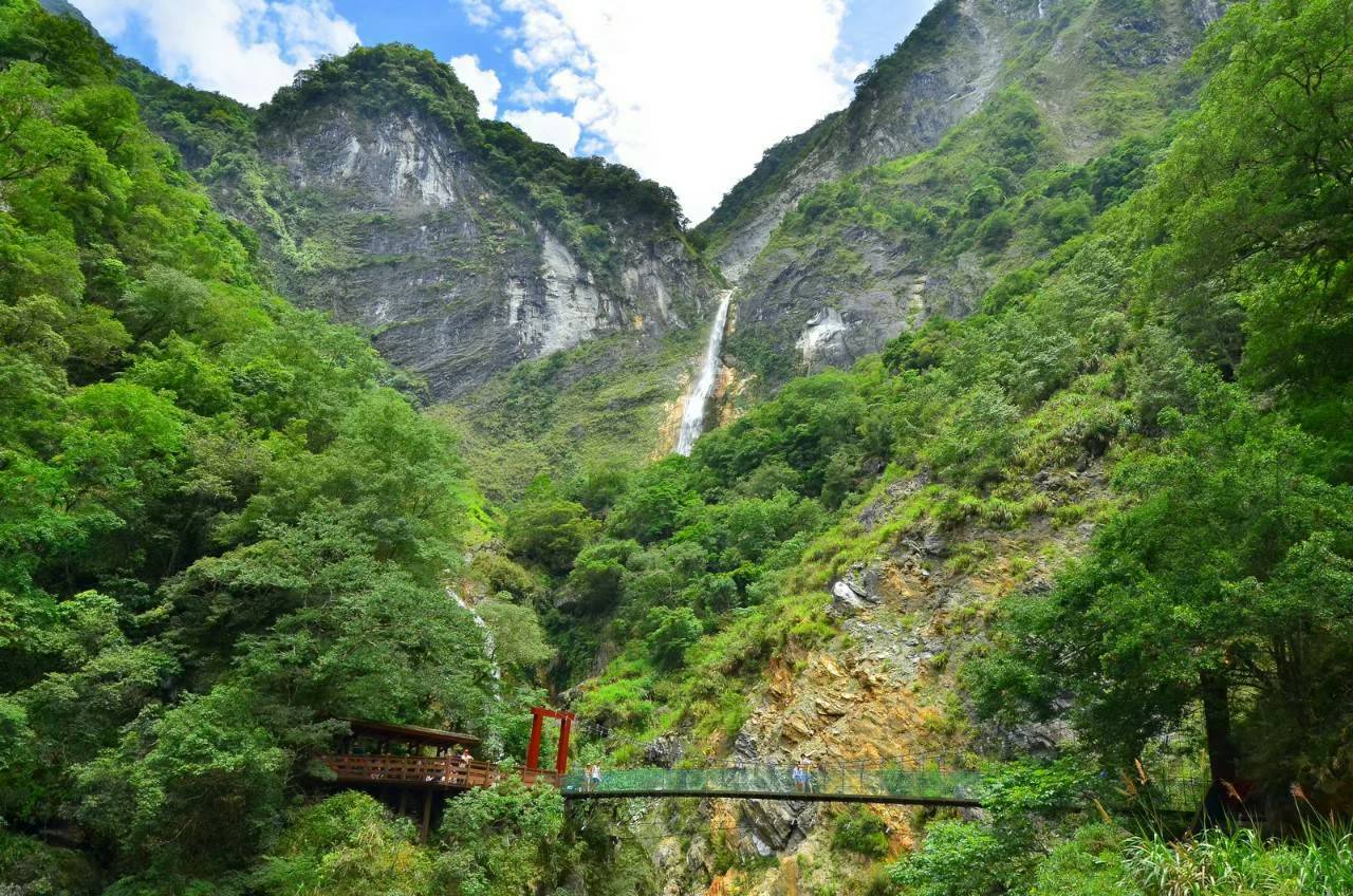 白楊步道(太管處資料照片)