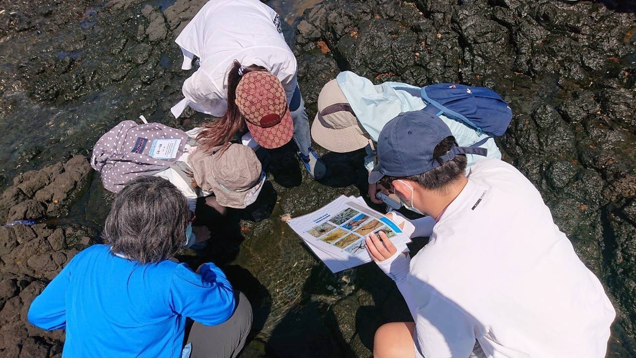 圖3.學員認真的觀察東吉嶼潮間帶生物