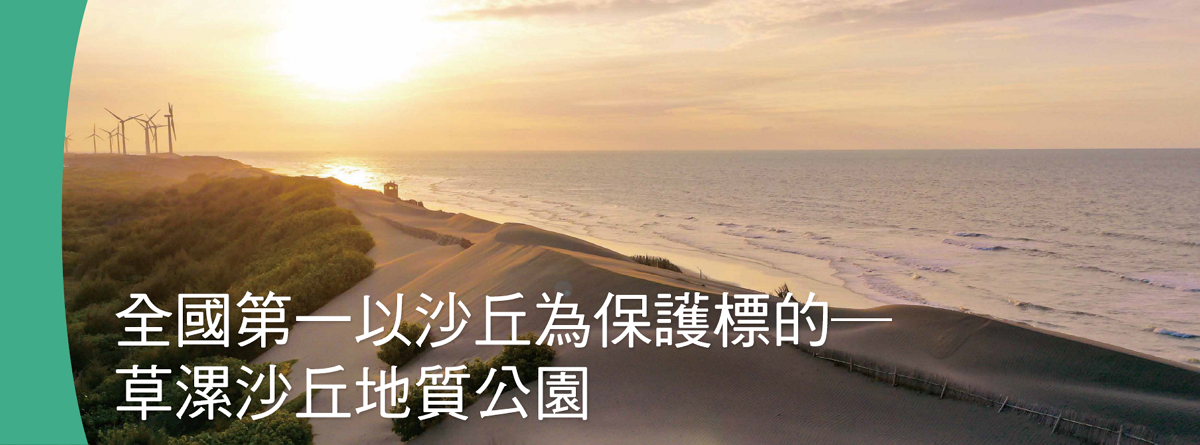 桃園沙丘.png
