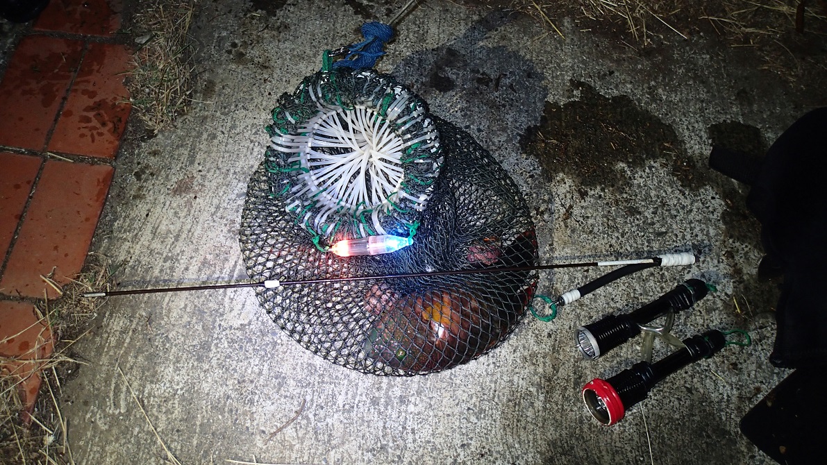 園區內違法打魚