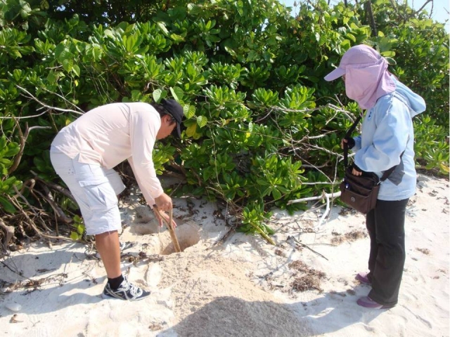 using GPS positioning and clearing of the top layer sand with shovels.