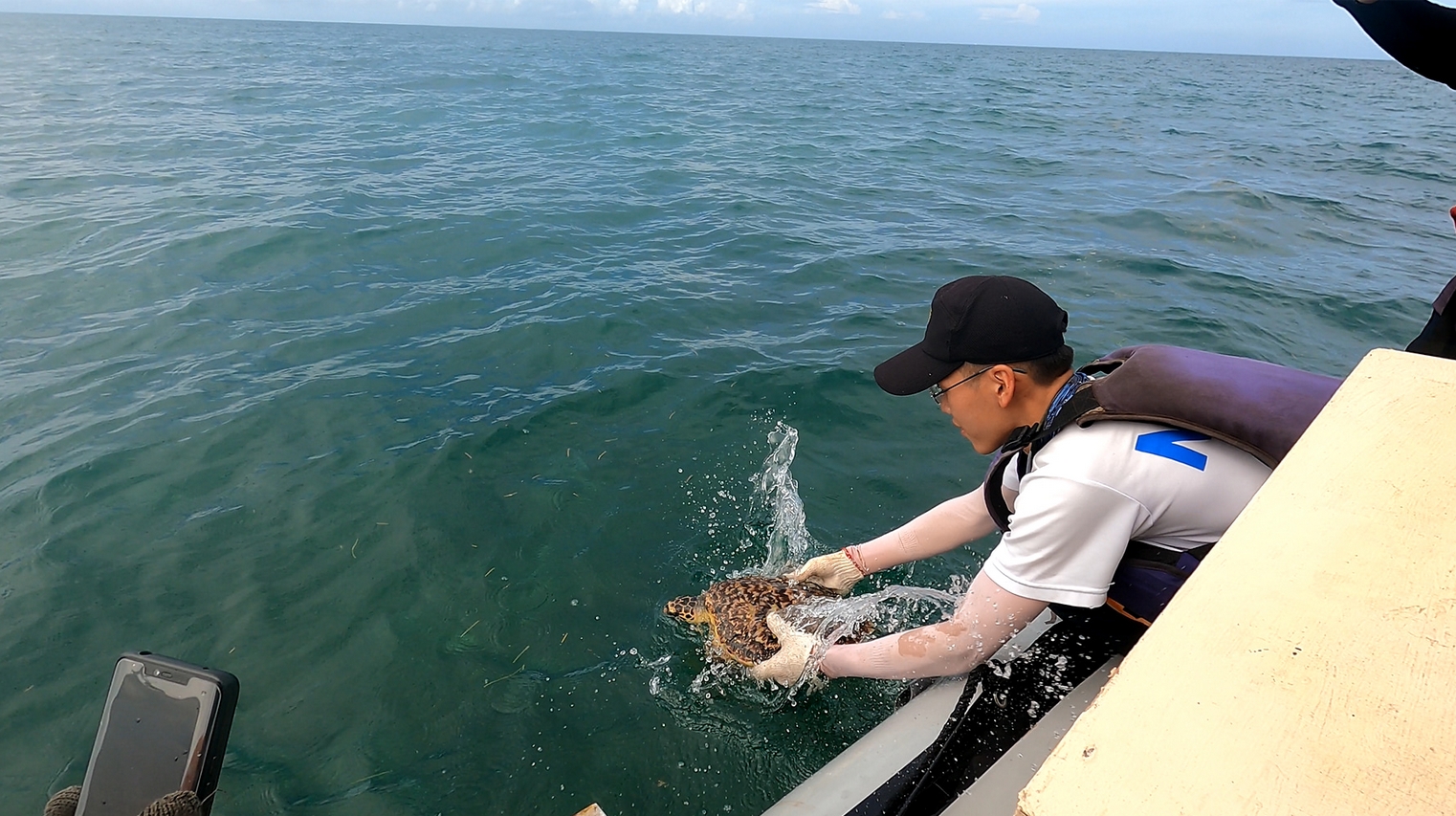 Besides minor abrasion injuries, the turtle was in good health and was released near its original home.