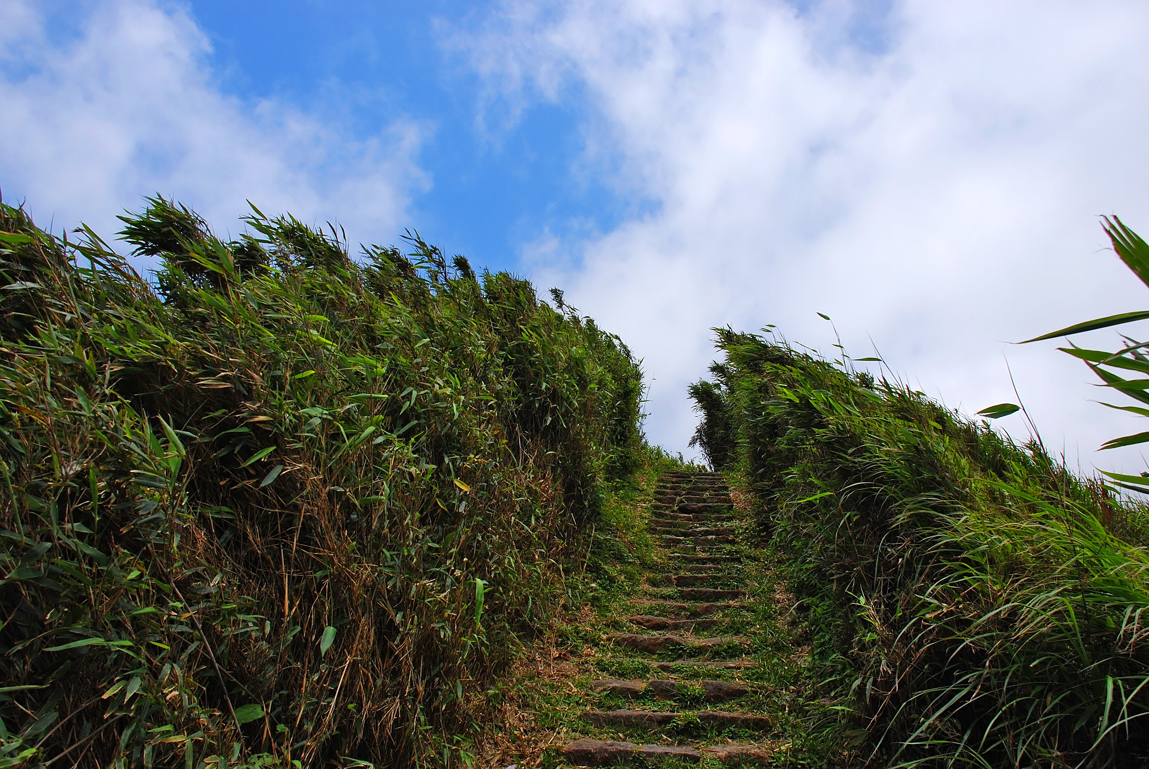 Xiaoyoukeng Arrow Bamboo Trail 