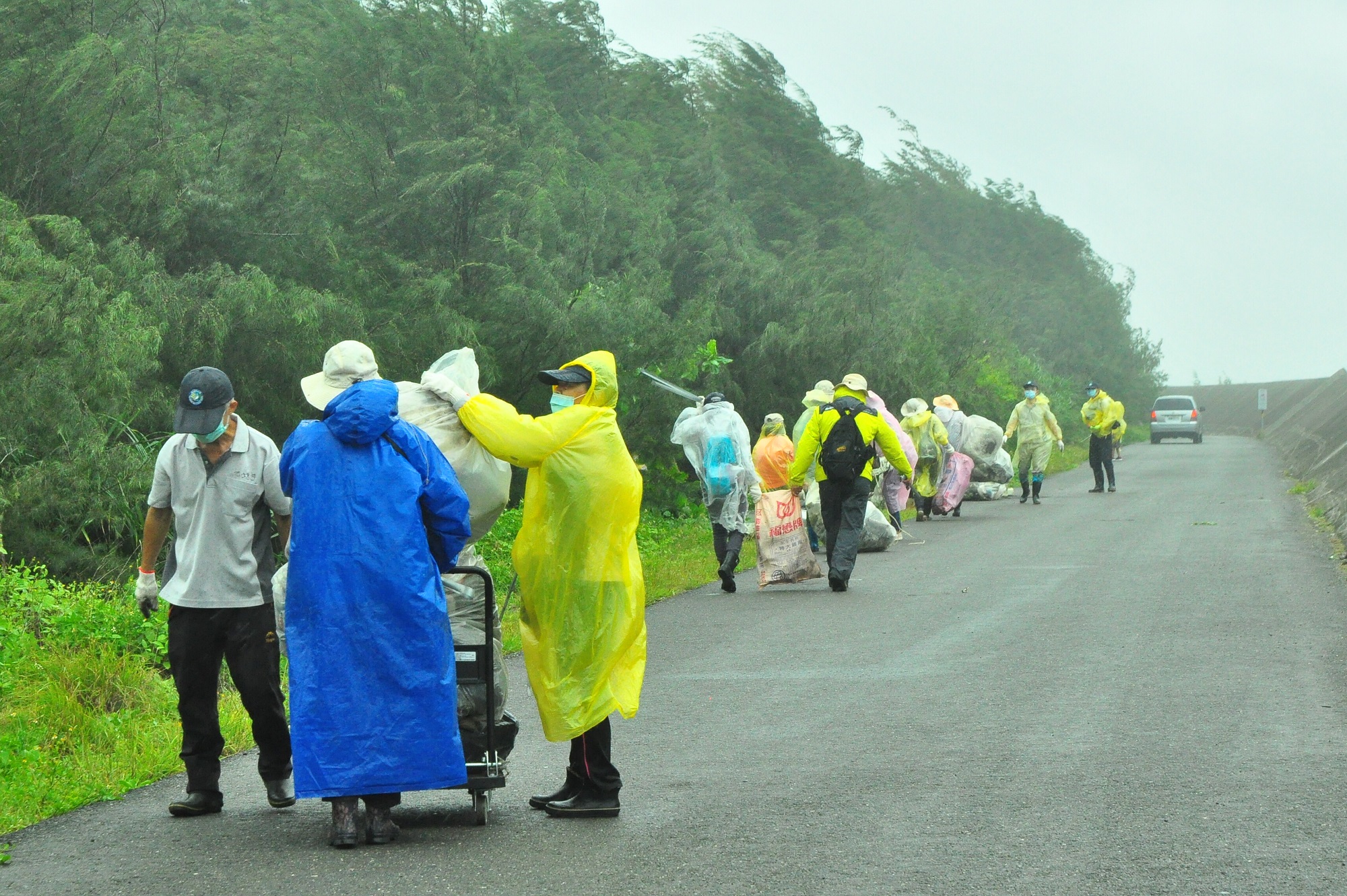 Participants work together to remove garbage in the windbreak forest