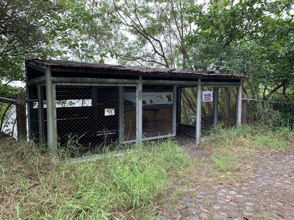 半屏湖賞鳥亭