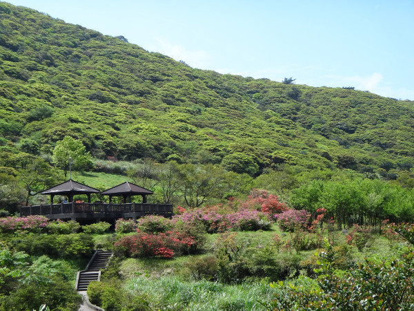 大屯自然公園-許美惠攝