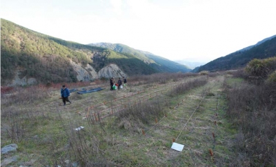 武陵廢耕地進行生態復育試驗