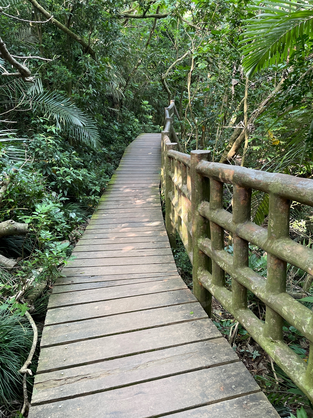 壽山登山步道