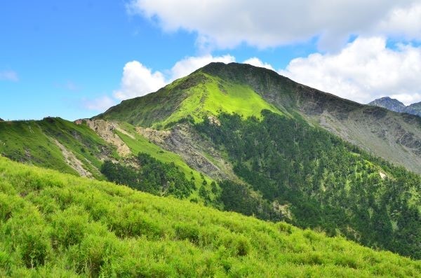夏季合歡山