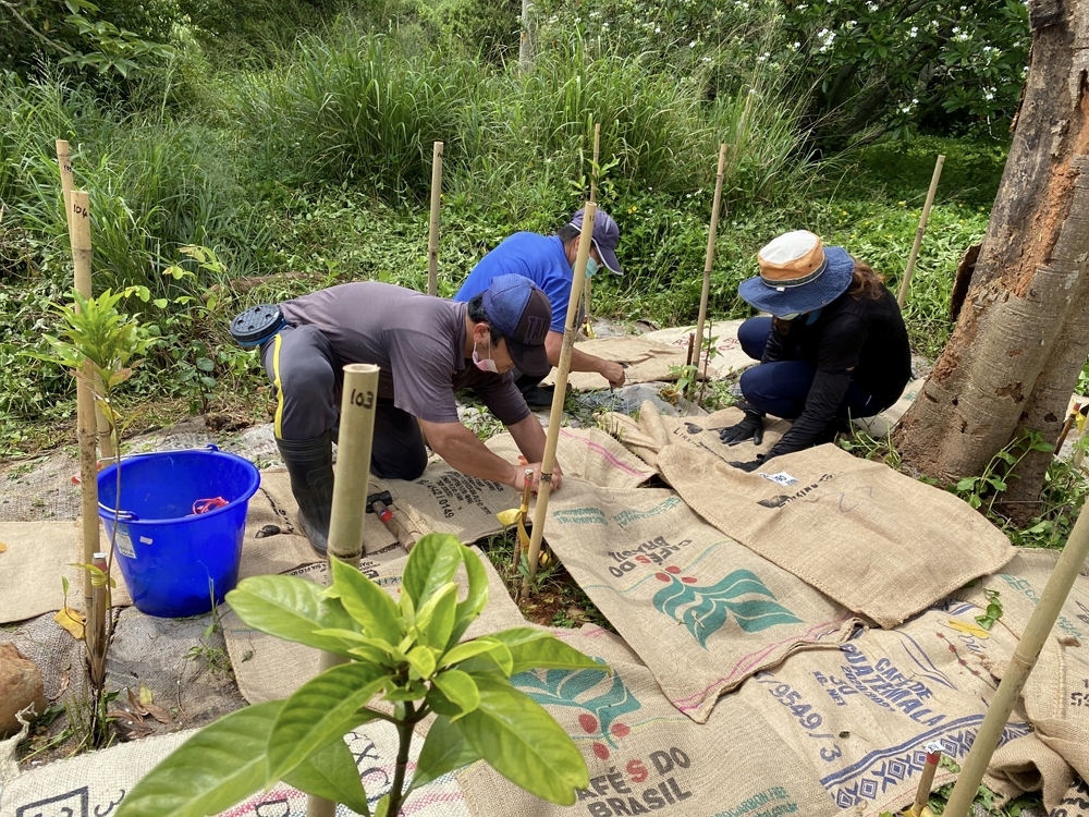 企業協助植栽撫育作業/自管處提供