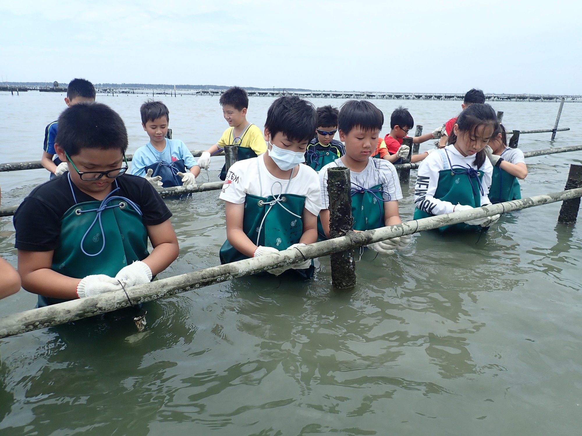 台江小海人,化身小蚵農