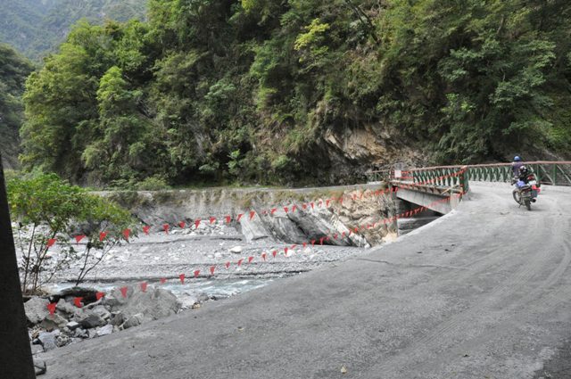 白楊步道開放照片