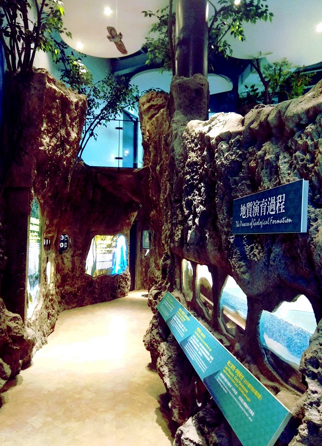 展場內一線天地景及多元展示櫥窗