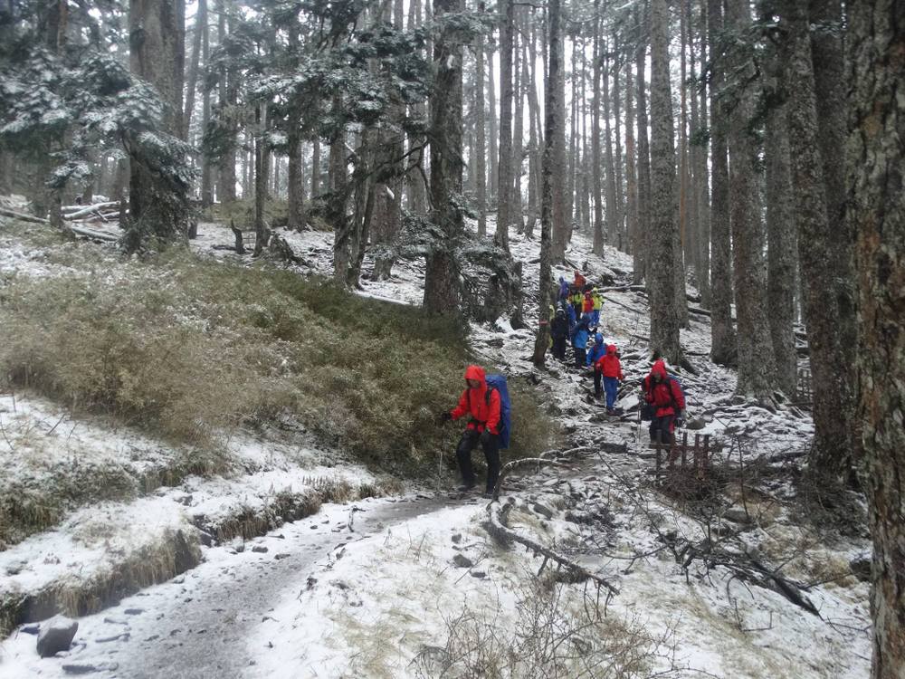 雪東線黑森林步道積雪情形（雪霸處志工楊育瑛提供）