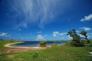東沙島小潟湖周邊以海岸灌叢植物為優勢景觀。