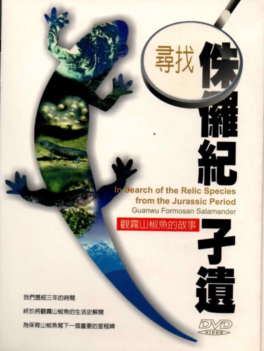 觀霧山椒魚影片