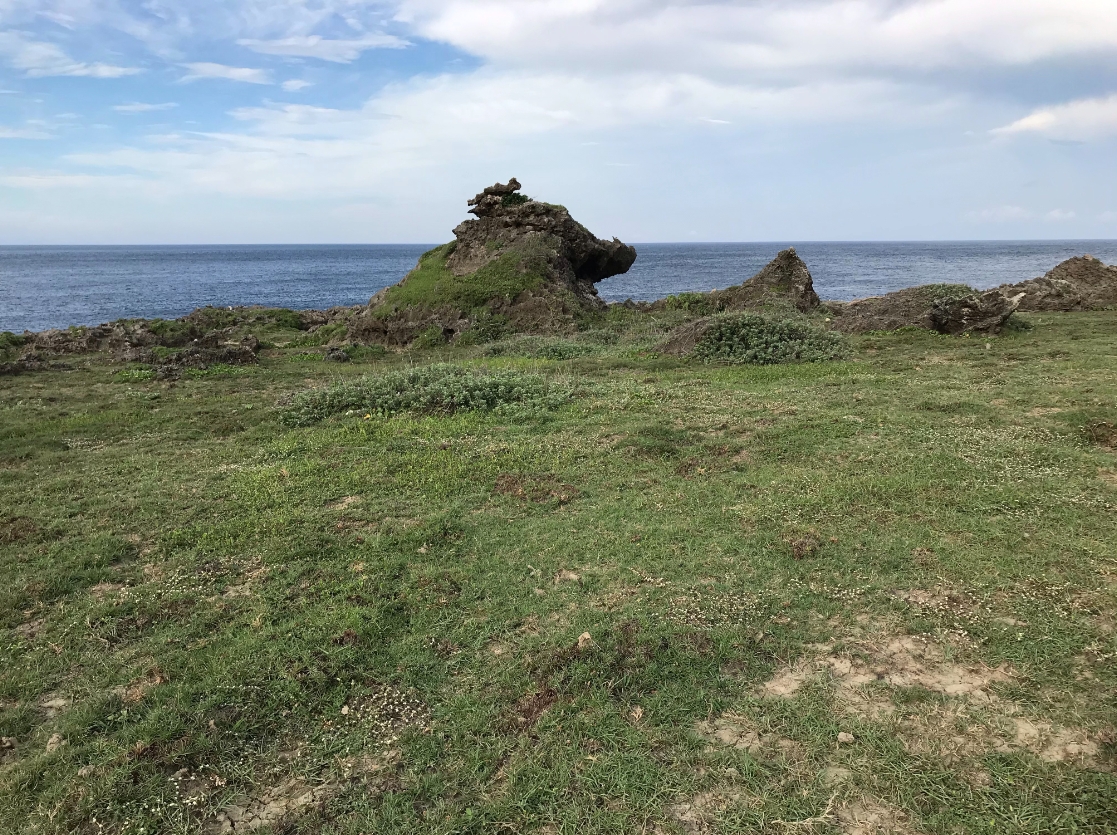 活動地點