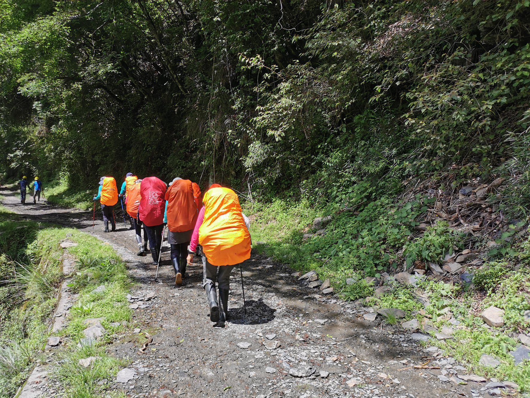 大鹿林道東線登山示意圖