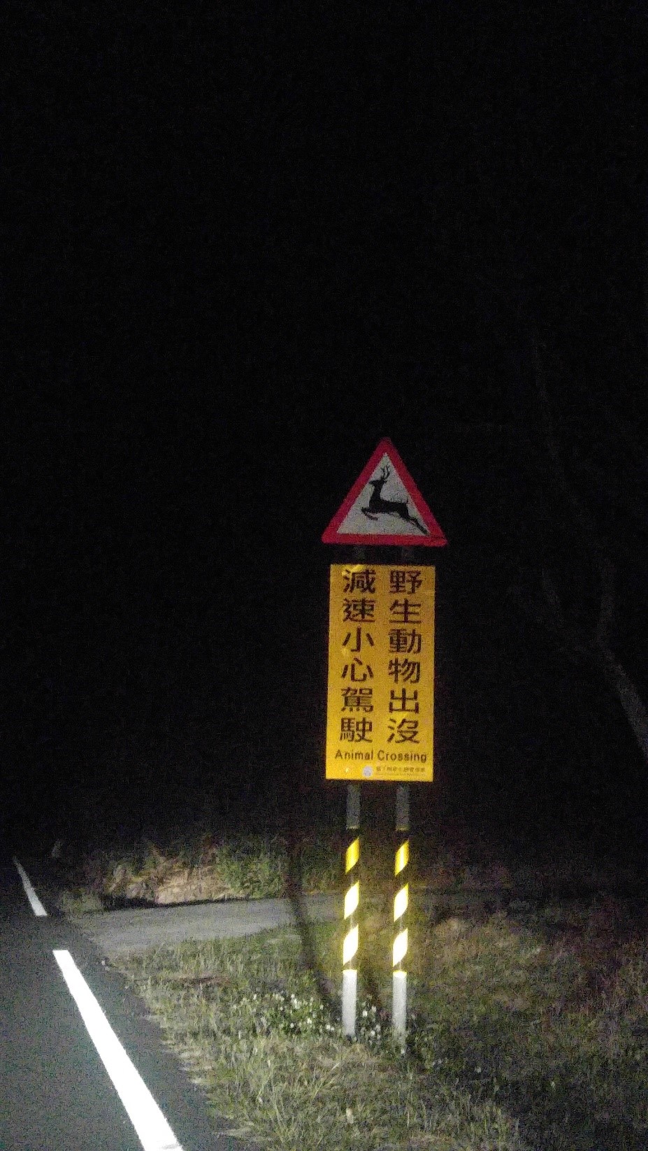 有鹿出沒-龍磐