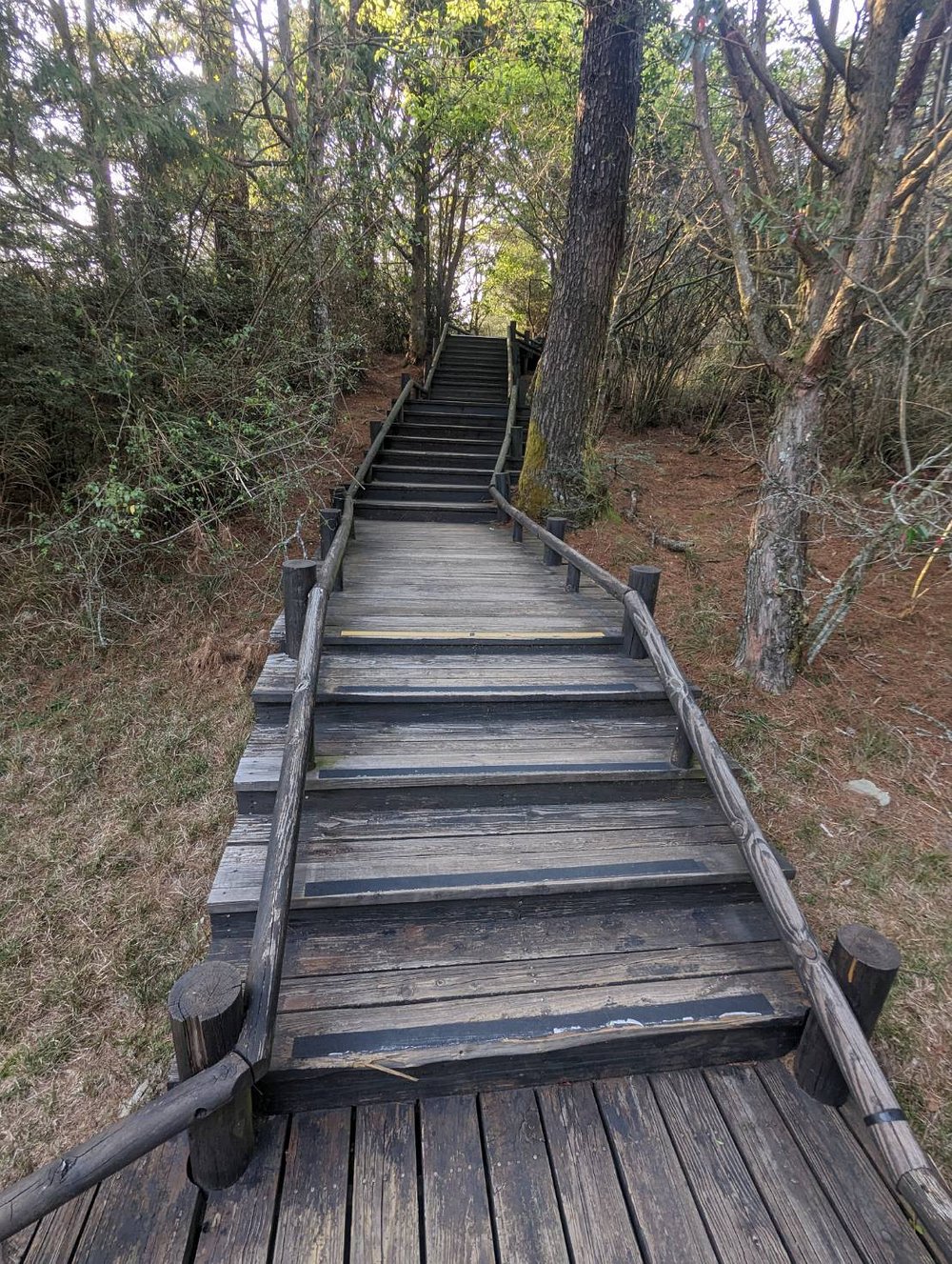 雲霧步道現況