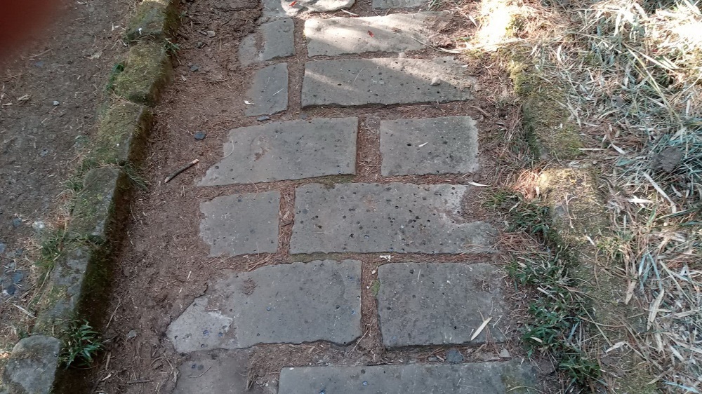 :塔塔加遊憩區步道面松脂點佈,水源指標鹿林山看天池
乾涸(玉管處提供)