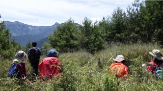 通過玉山前峰石瀑區