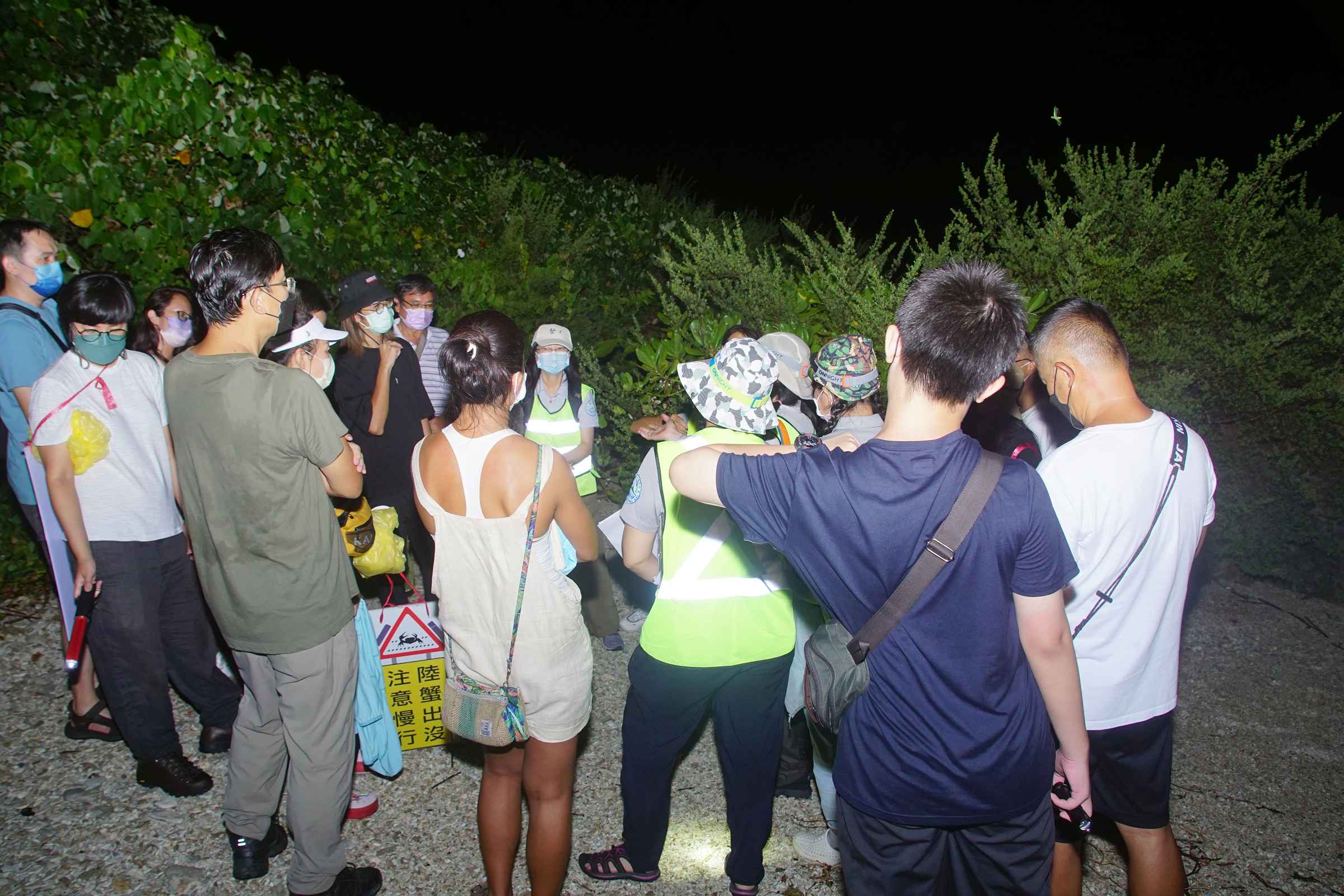 守護陸蟹環境教育