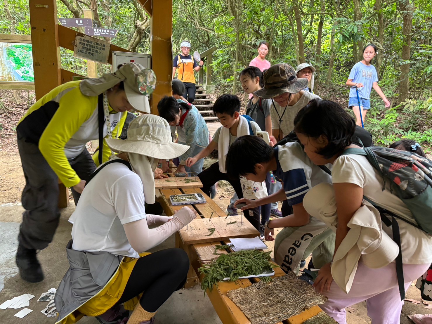 認識先驅植物—構樹及古早味遊戲