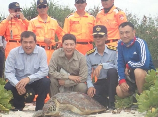 全島官兵共同參與野放海龜照