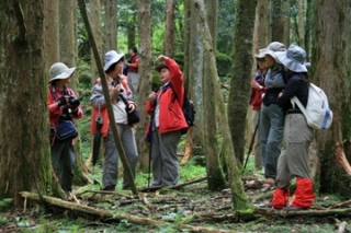 玉山解說志工於楠溪林道了解生物資源