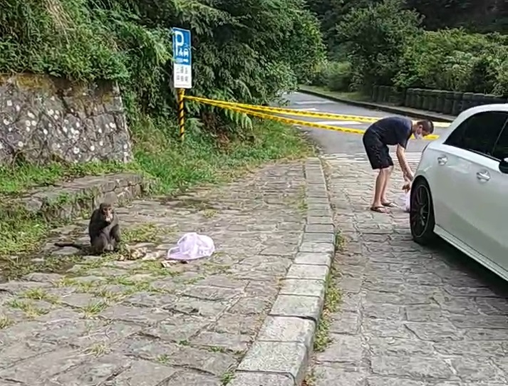 民眾於上磺溪橋附近以水果餵食獼猴，經陽管處巡山員勸阻後收回