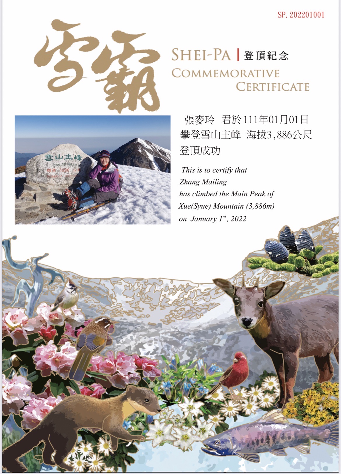 雪霸登頂登高紀念書11月25日全新改版