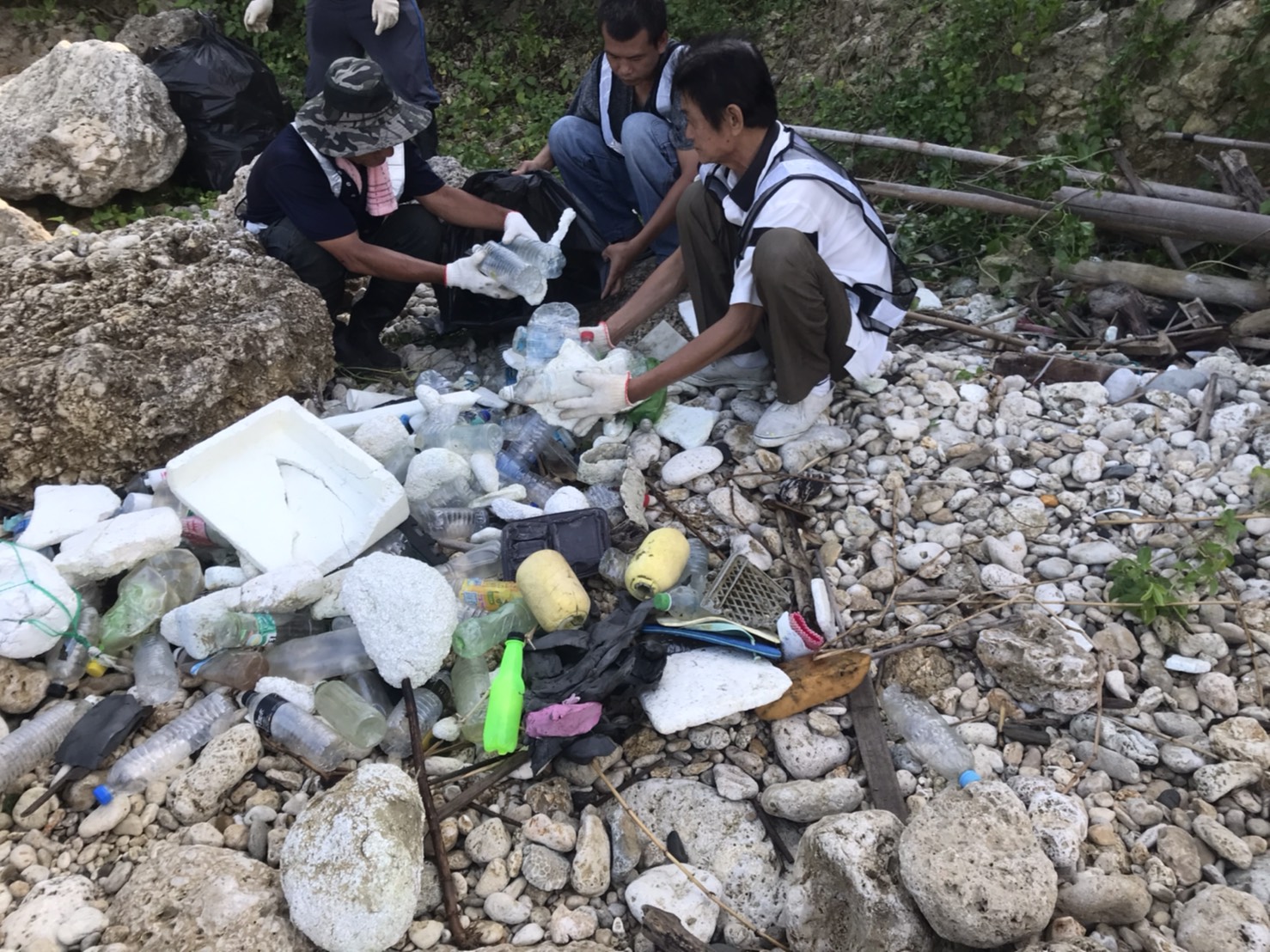 塑料製品可能造成鳥類和魚類誤食甚至死亡