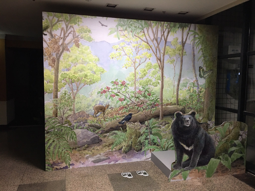  The exhibition“Returning the Bears to their Homeland, Returning to Yushan”,two pictures.