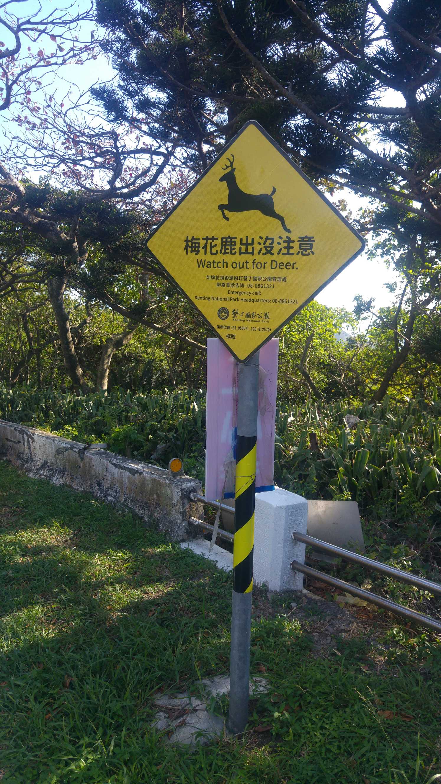 墾管處於梅花鹿出沒路段設置警示牌,圖為設置於社頂之警示牌