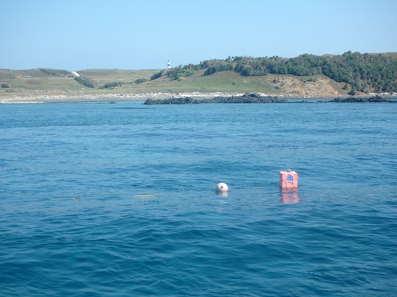 Mooring Buoys Installed at South Penghu Marine National Park to Protect Coral Reefs