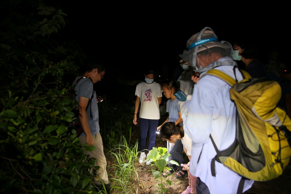 台江國家公園外來種亞洲錦蛙防治教育宣導活動