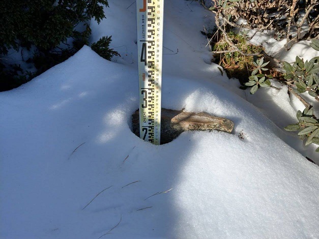 目前雪山圈谷雪尺的積雪深度已達20公分(雪霸保育志工陳國鈞提供)