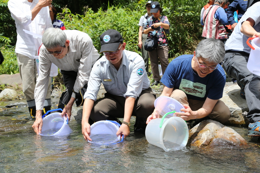 6月28日於武陵進行櫻花鉤吻鮭放流,左起林曜松教授、楊模麟處長、大島正伸教授