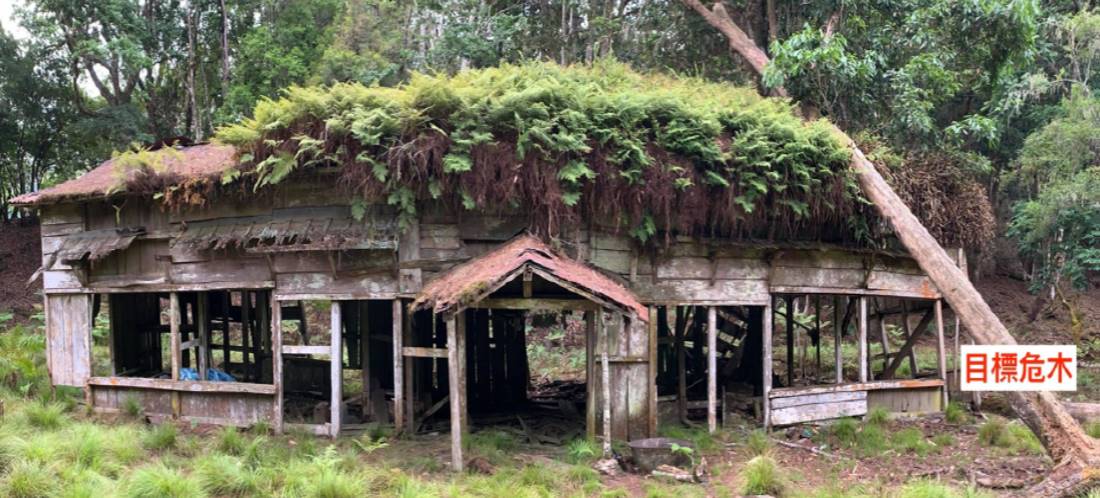 Tarunas Police Post has been damaged by wind toppled trees.