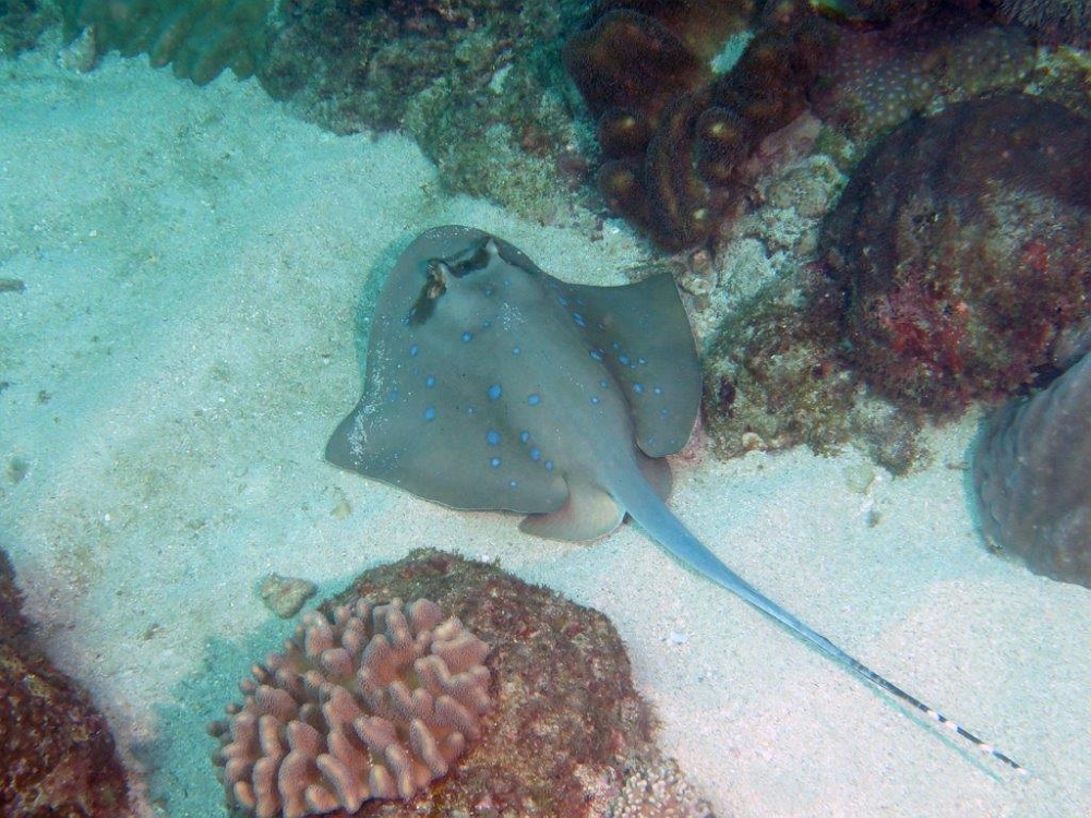 遠離生物,避免騷擾或捕捉,違者將依國家公園法裁處/墾管處提供
