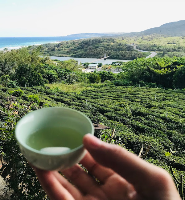 茶園與海景/墾管處提供