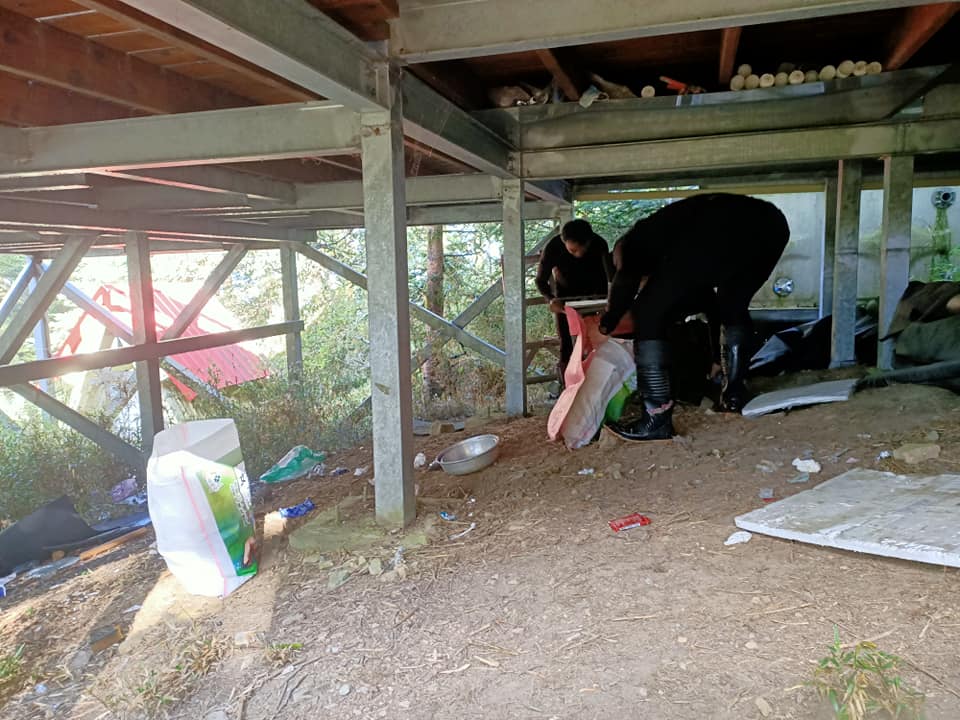 高山協作員於霸南山屋周邊進行山屋清潔工作照