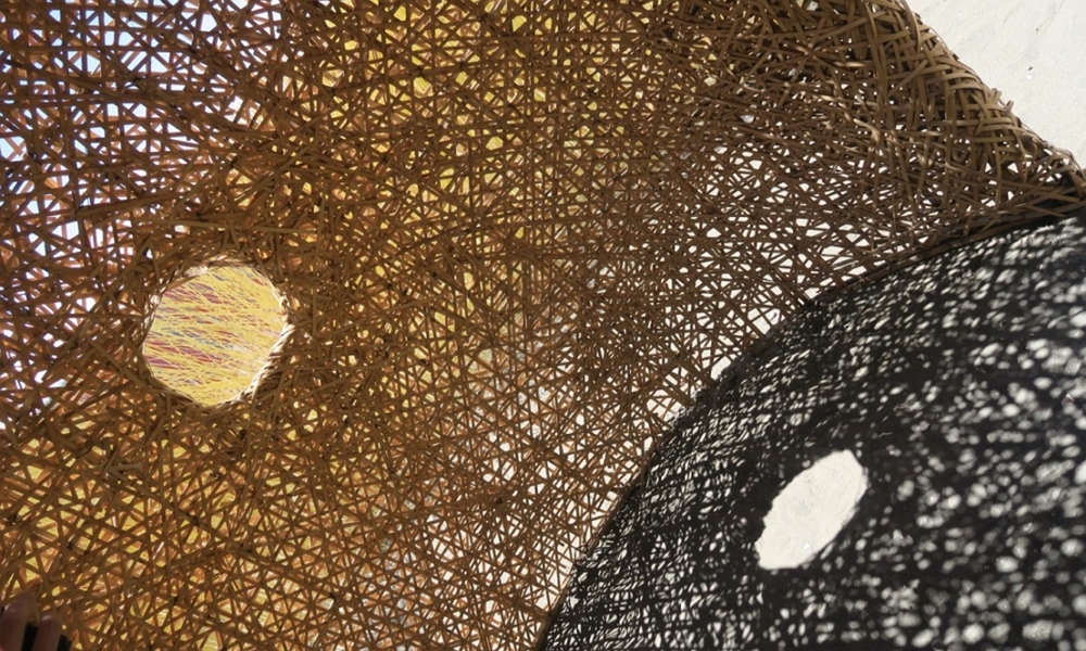 Beautiful Metamorphosis