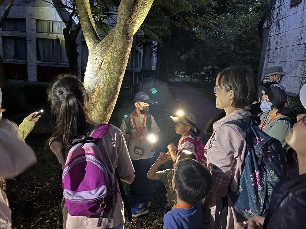 夜間觀察活動