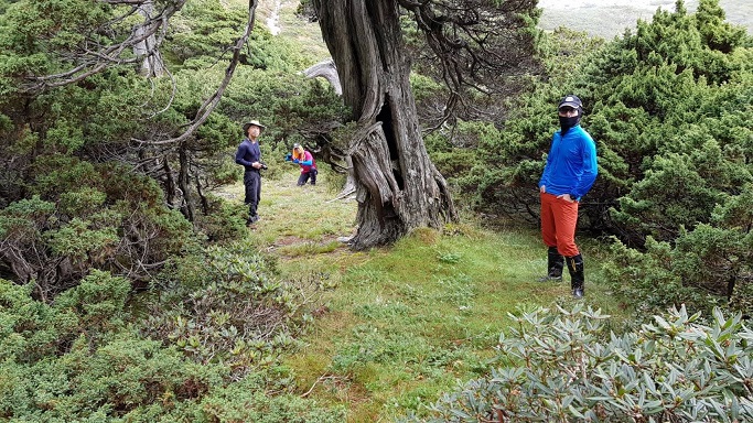 圈谷特定地點供雪地訓練隊伍紮營，唯仍請山友須善盡生態保護責任與落實LNT精神(雪霸處保育志工提供)