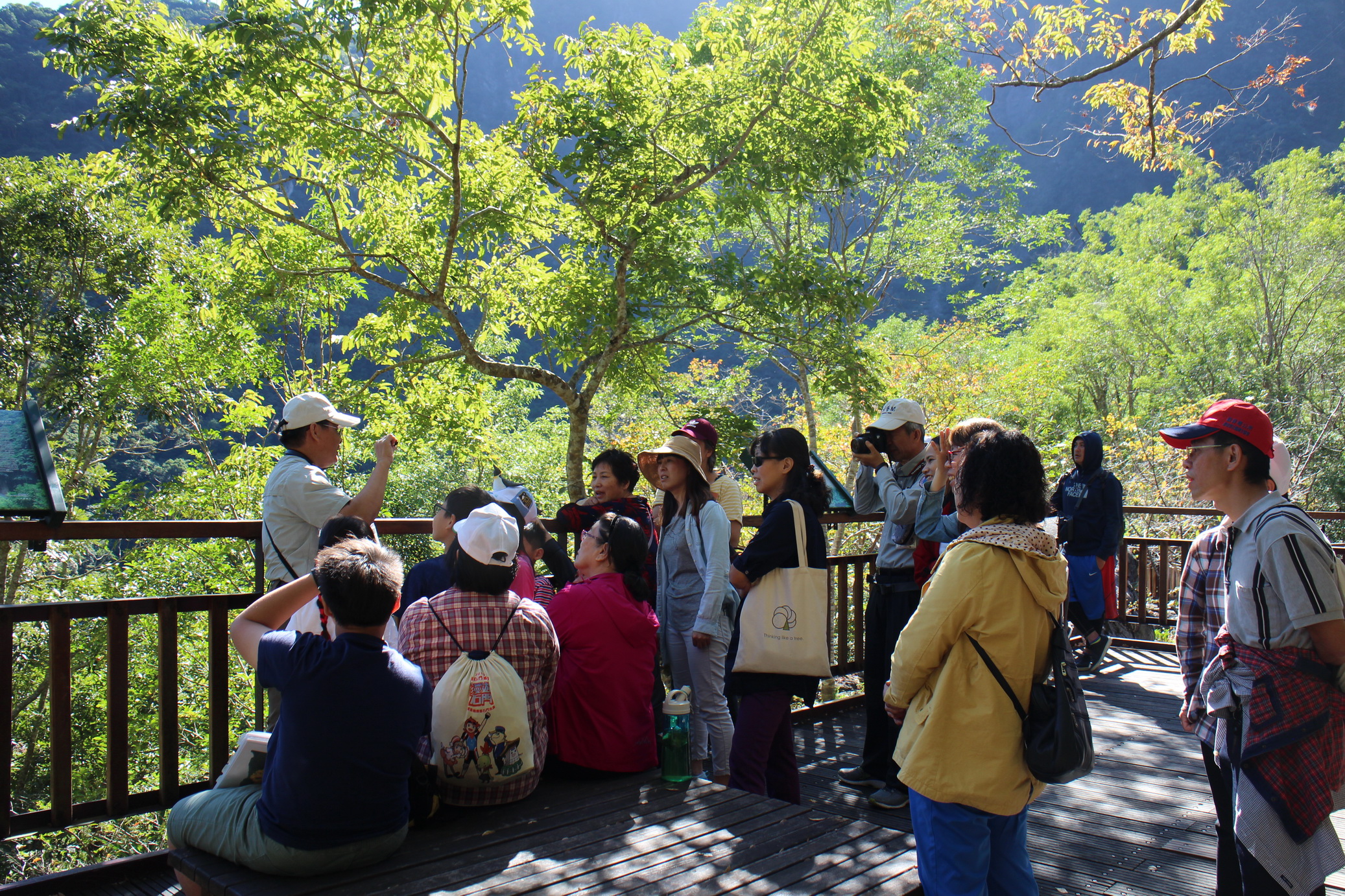 「繽紛太魯閣」梯隊(環流丘步道自然探索趣-無患子「阿嬤的肥皂樹」解說)