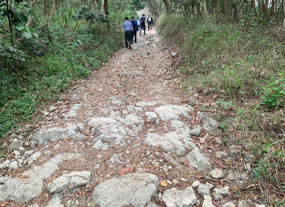 半屏湖至半屏山中央瞭望台間登山路徑現況/自管處提供