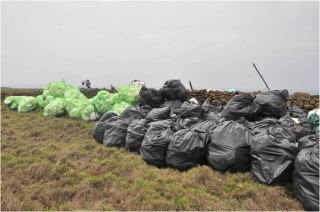 Beach cleaning outcome.