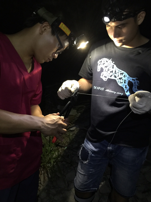 屏東科技大學獸醫學院吳弘毅助理教授團隊協助誘捕作業